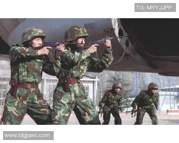 杭州飞盘队的防反战术解析与实战应用探讨